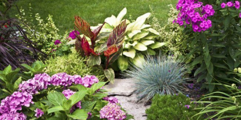 Алпийски слайд със собствените си ръце (50+ photoideuses за малки сайтове): стъпки по стъпка инструкции и схеми